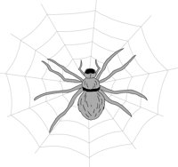 SPIDR002.CMX
