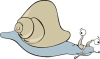 SNAIL.CMX