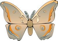 MOTH.CMX