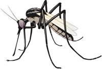 MOSQUITO.CMX