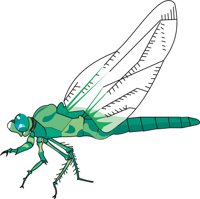 DRAGFLYC.CMX