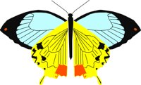 BUTTR010.CMX