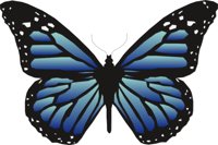 BUTRFL5.CMX