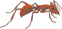 ANT3.CMX