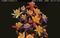FLOWRS08.GIF