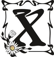 FANCYX01.CMX