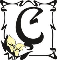 FANCYC02.CMX