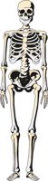 SKELETN4.CMX