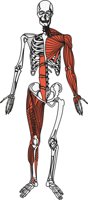 SKELEMUS.CMX