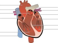 HEART02.CMX
