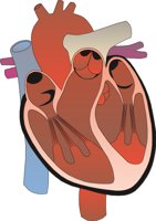HEART01.CMX