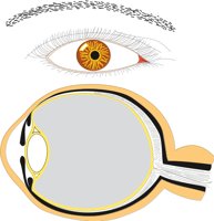 EYE.CMX