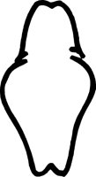 CARTE021.CMX