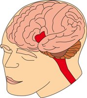 BRAIN2.CMX