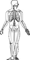 BONE081.CMX
