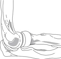 BONE016.CMX
