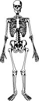 BONE015.CMX