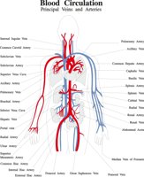 BLOODCIR.CMX