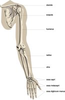 ARM4.CMX
