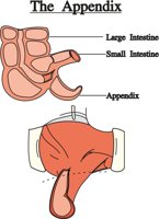 APPENDIZ.CMX