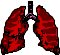 ANATM047.CMX