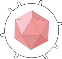 VIRUS.CMX