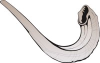 SHOFAR.CMX