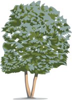 TREE9.CMX