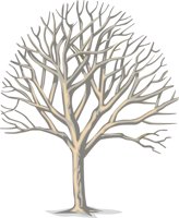 TREE7.CMX