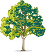 TREE6.CMX