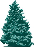 FIR.CMX