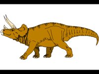 TIERE040.BMP