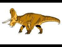 TIERE038.BMP