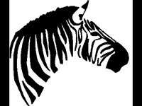 TIERE030.BMP