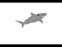 TIERE027.BMP