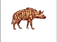 TIERE013.BMP