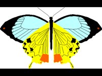 TIERE011.BMP