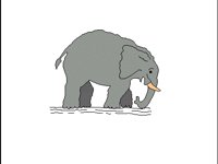 TIERE006.BMP