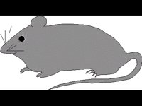 TIERE005.BMP