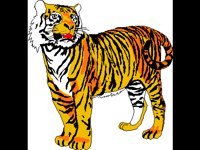TIERE004.BMP