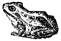 TOAD.PCX
