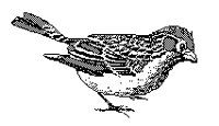 SPARROW.PCX