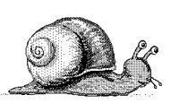 SNAIL.PCX
