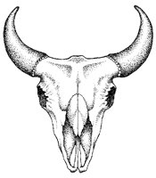 SKULL2.PCX