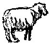 SHEEP3.PCX