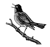 ROBIN.PCX