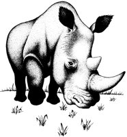 RHINO1.PCX
