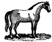 PONY.PCX