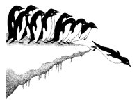 PENGUINS.PCX