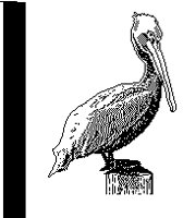 PELICAN.PCX